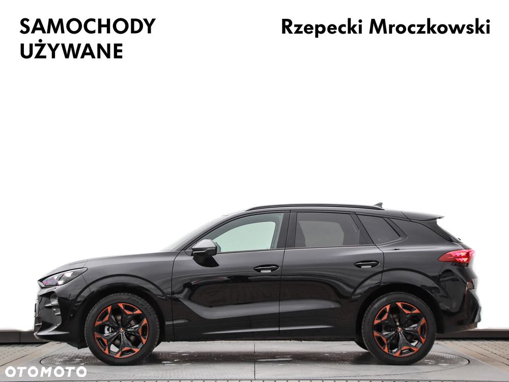 Cupra Terramar - 10