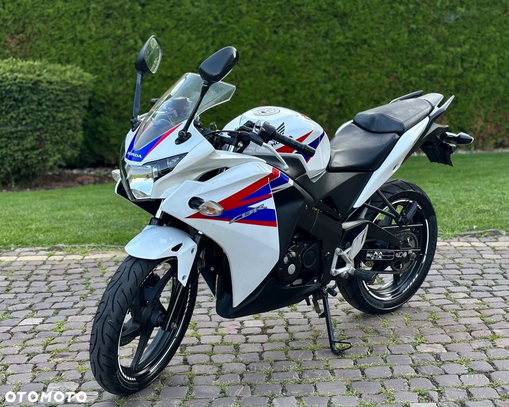 Honda CBR - 6