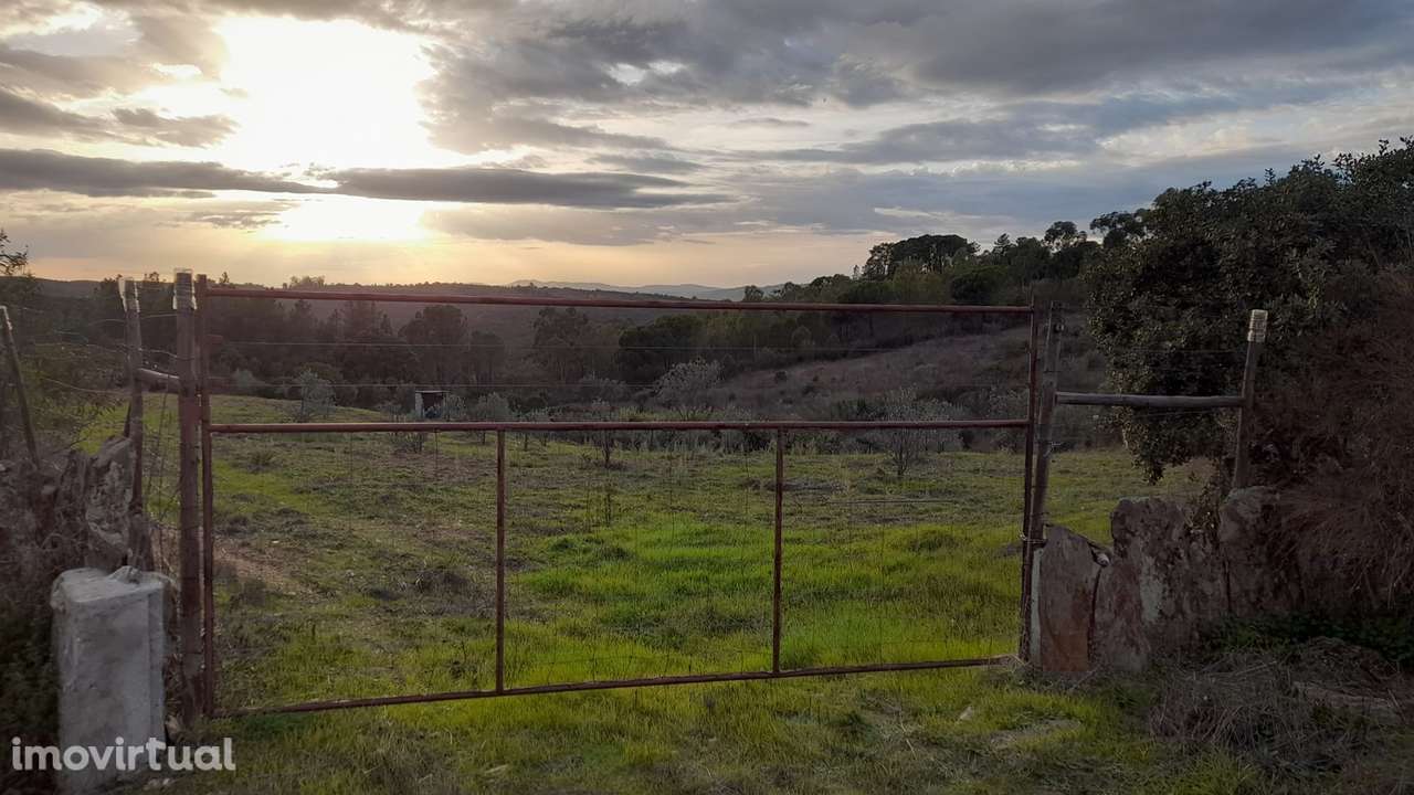 Moradia em Banda T4 Venda em Castelo Branco,Castelo Branco - Grande imagem: 2/42