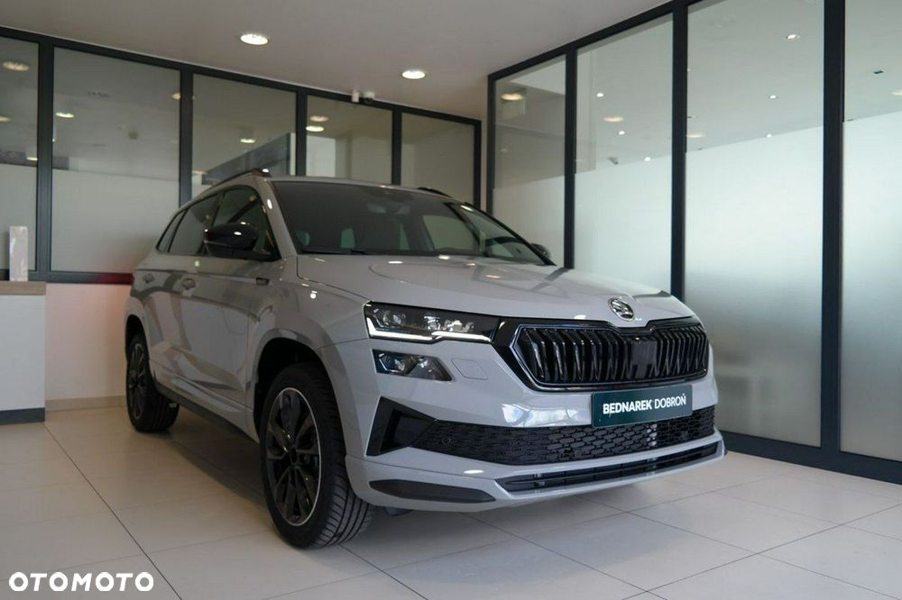 Skoda Karoq - 2