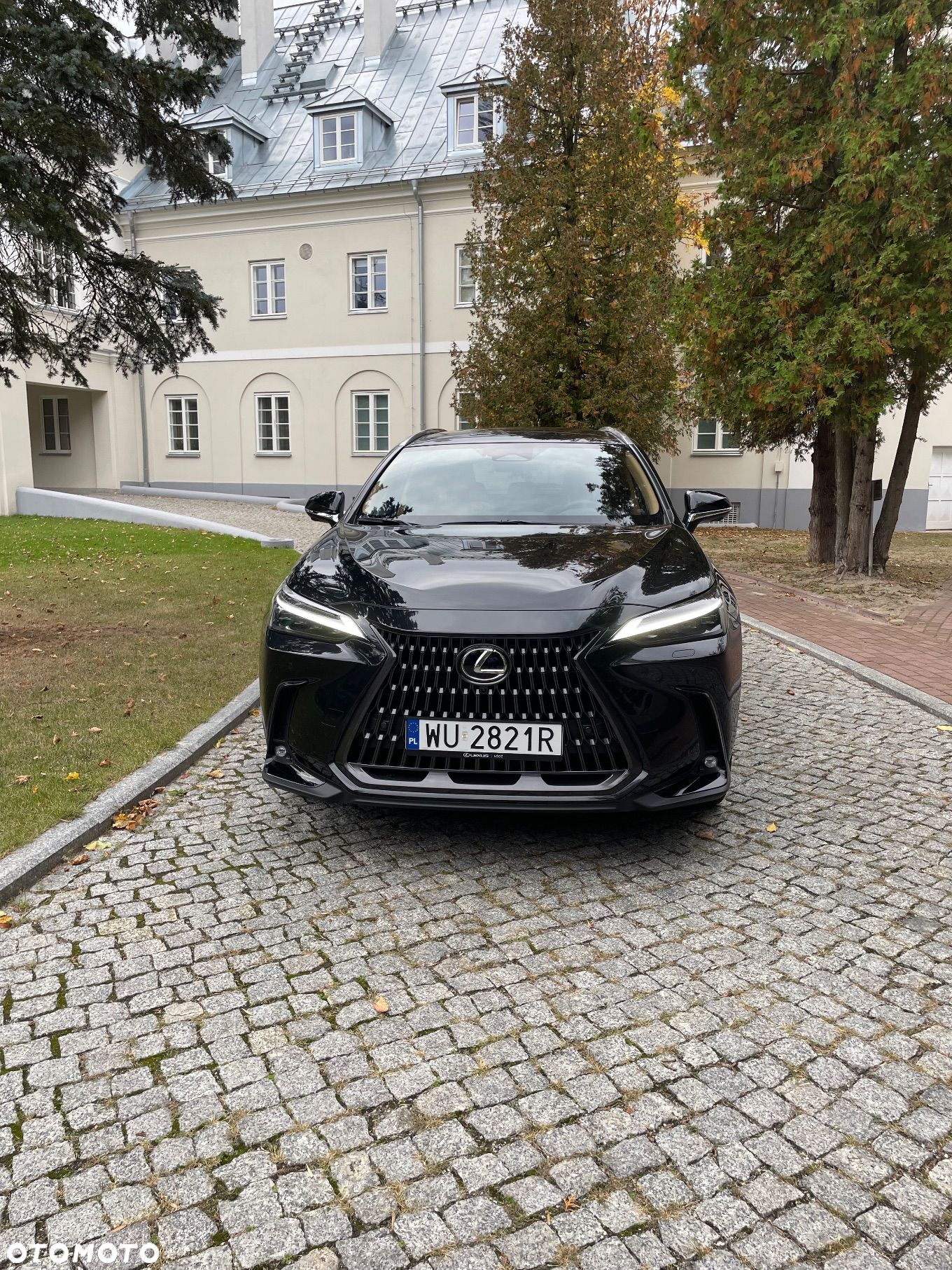 Lexus NX 350h Omotenashi AWD - 2