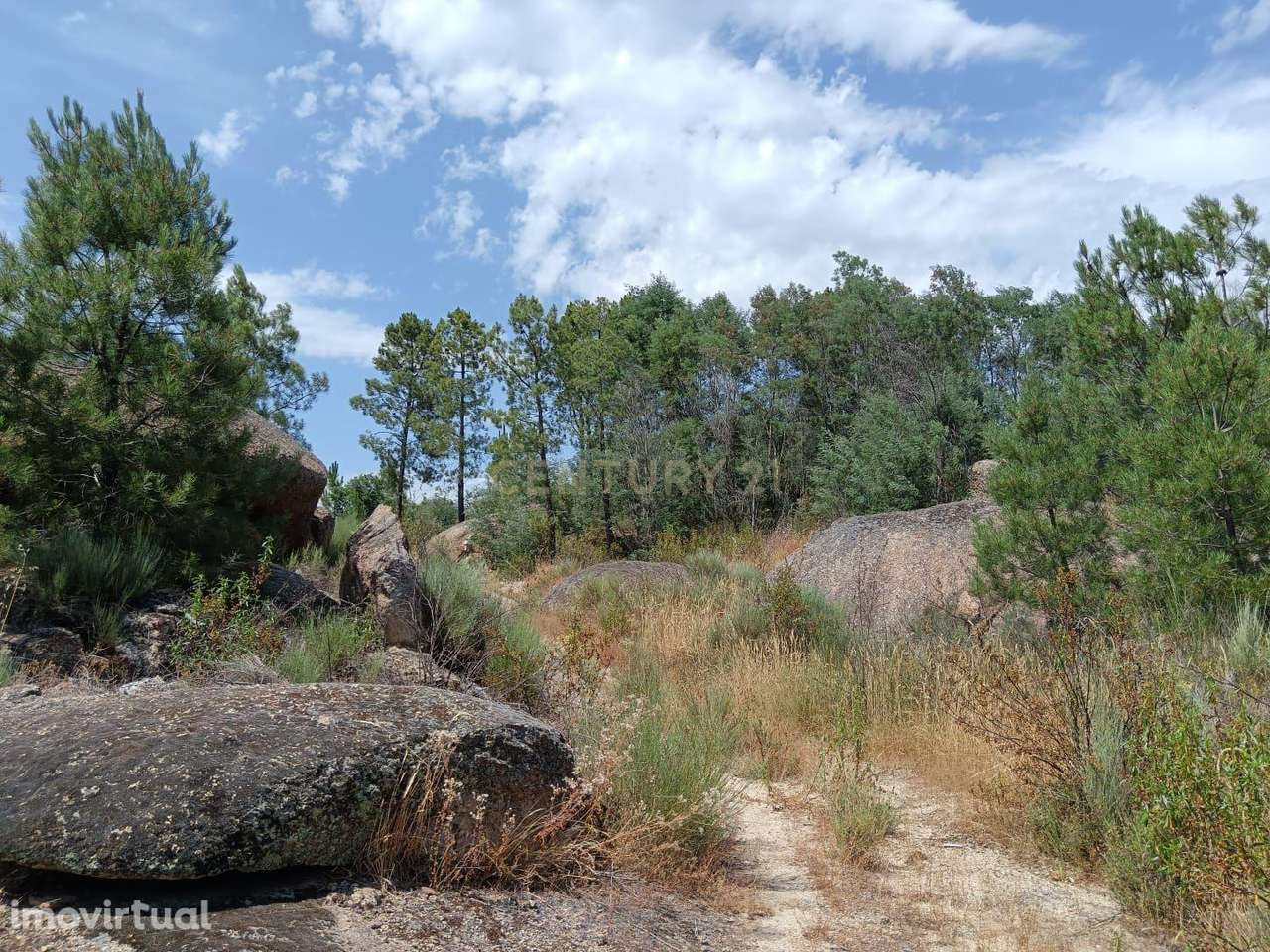 Terreno Rústico com 17200 m2 em Palvarinho, Castelo Branco - Grande imagem: 2/11