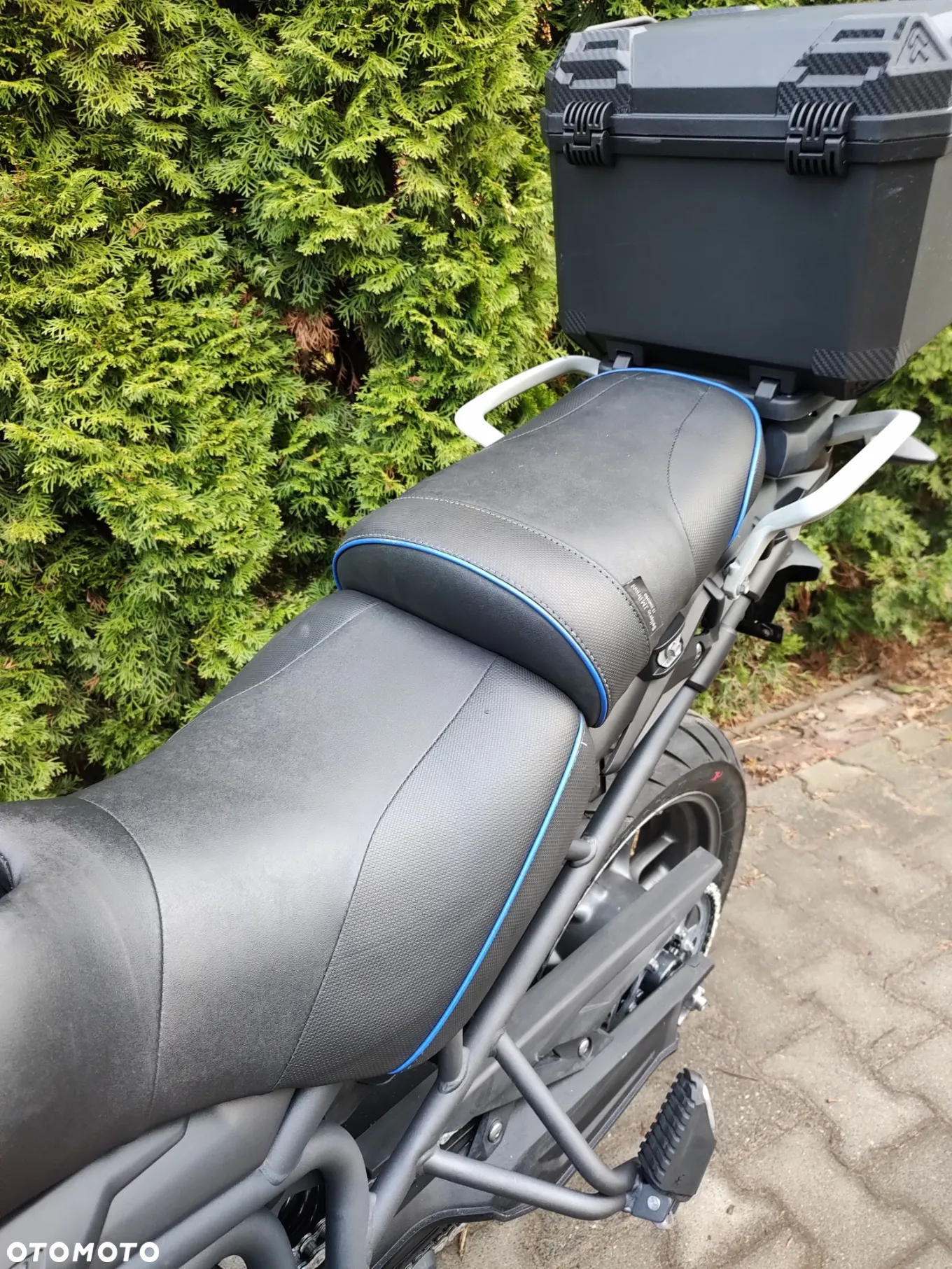 Triumph Tiger - 22