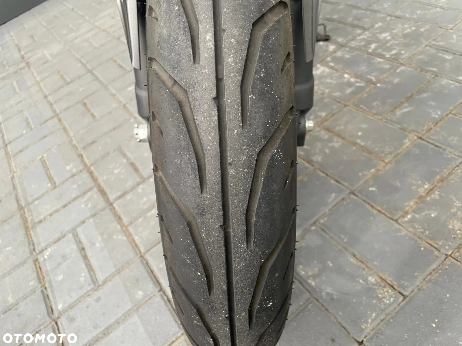 Kawasaki Z - 15