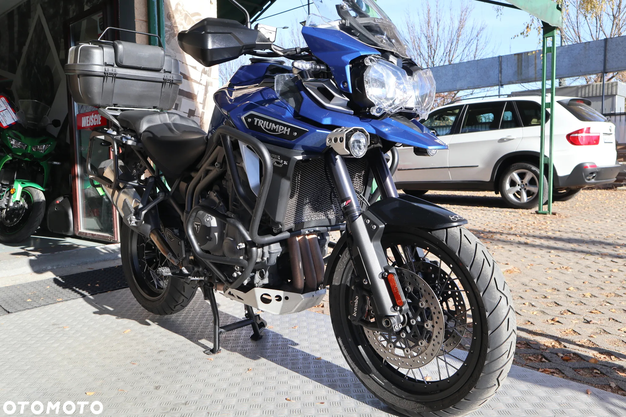Triumph Tiger - 5