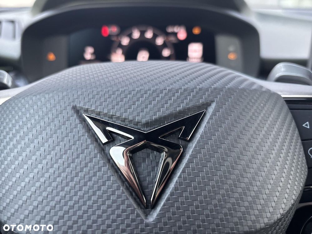 Cupra Terramar 2.0 TSI 4Drive Tribe Edition DSG - 26