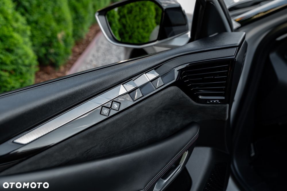 DS Automobiles DS 4 1.6 E-Tense Performance Line - 19
