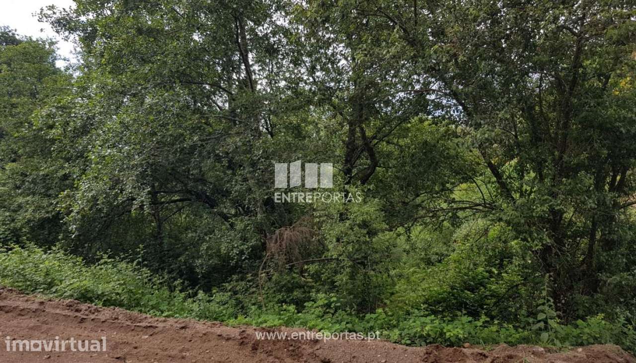 Venda Terreno, Frente Estrada, Ovil, Baião - Grande imagem: 4/11