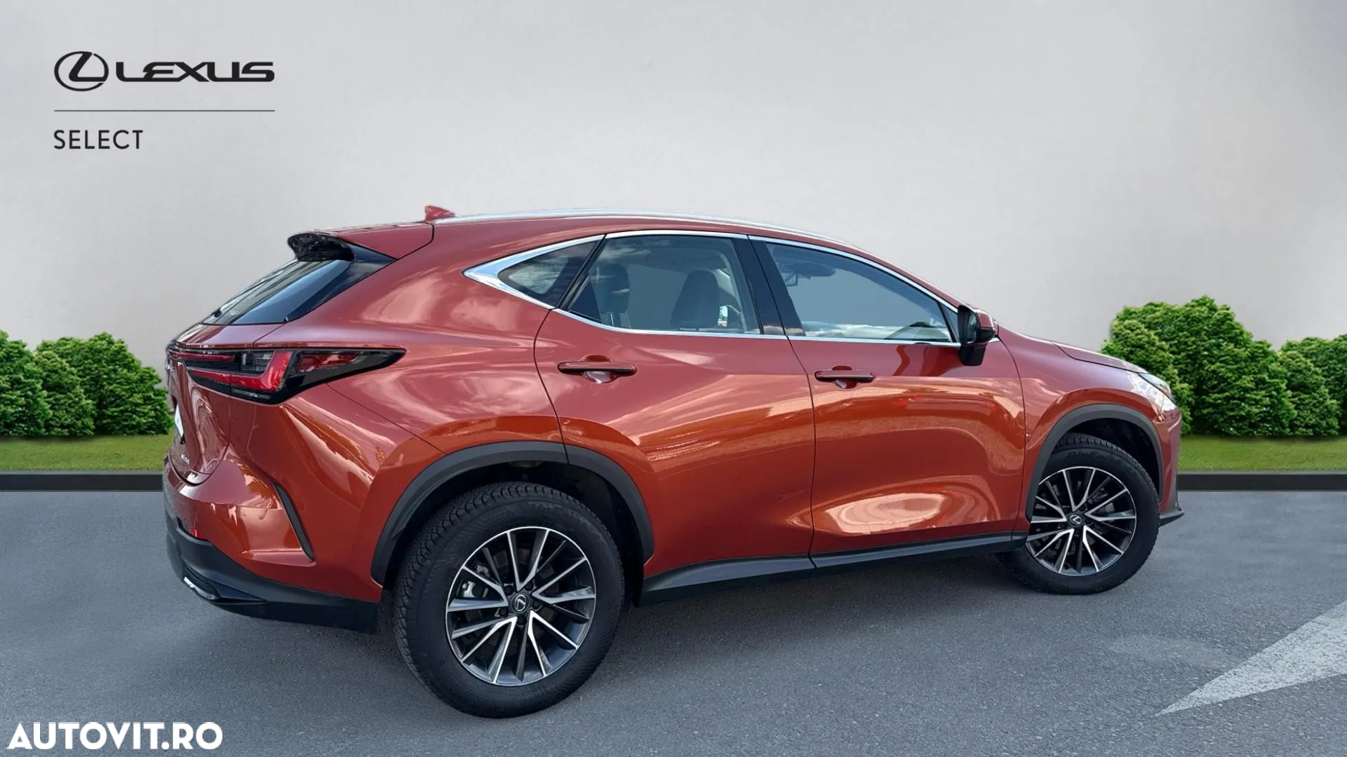 Lexus Seria NX 350h AWD CVT HEV Business - 20