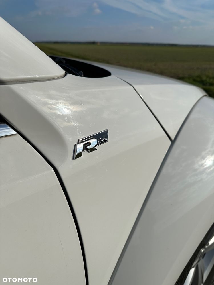 Volkswagen Beetle - 9