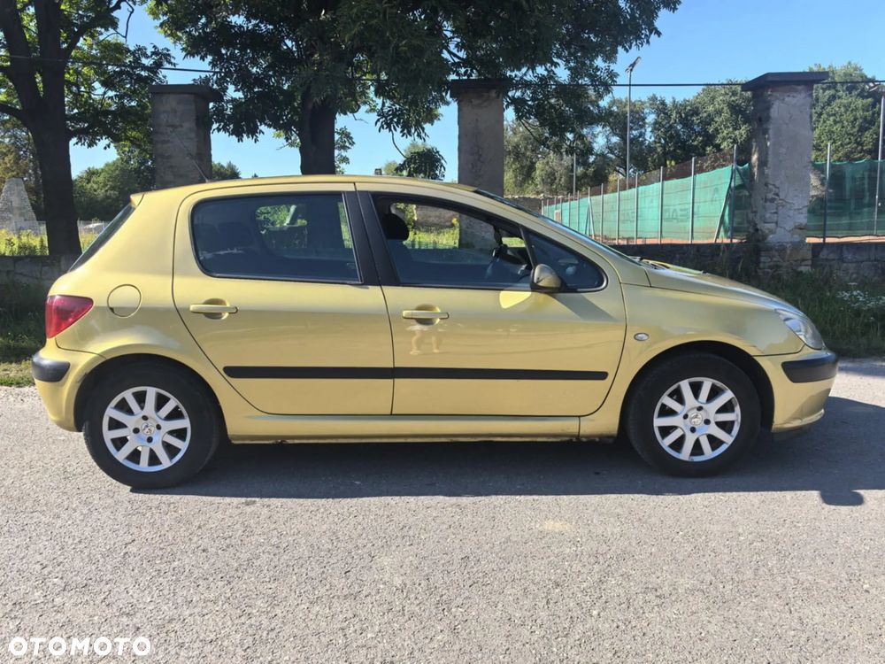 Peugeot 307 - 3