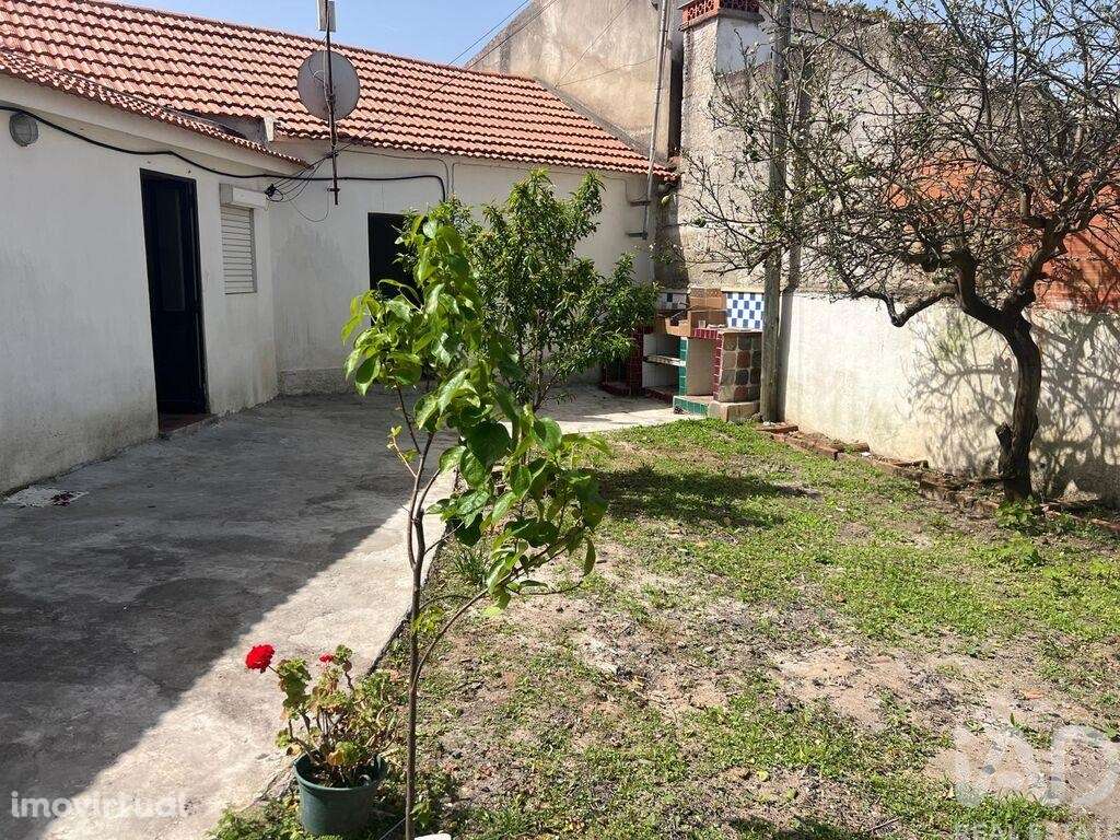 Moradia térrea T2 em Lamas e Cercal de 64 m2 - Grande imagem: 4/39