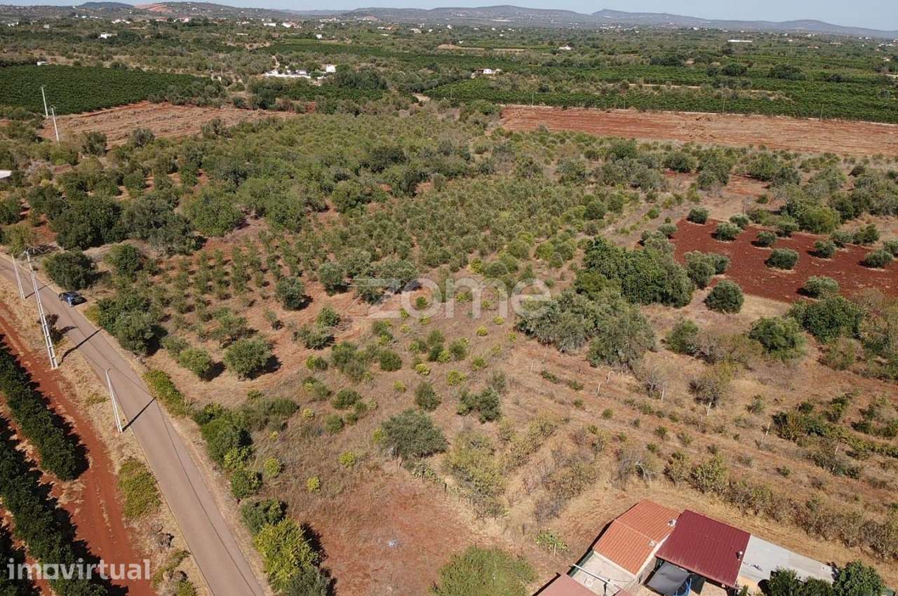 Terreno Rústico com 2.060m2 em Torreirão, Messines - Grande imagem: 4/15