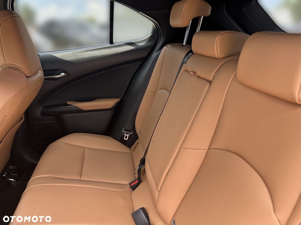 Lexus UX 300h F Sport Design - 15
