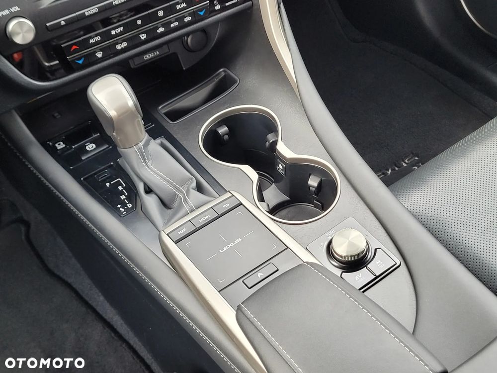 Lexus RX 450h F-Impression - 21