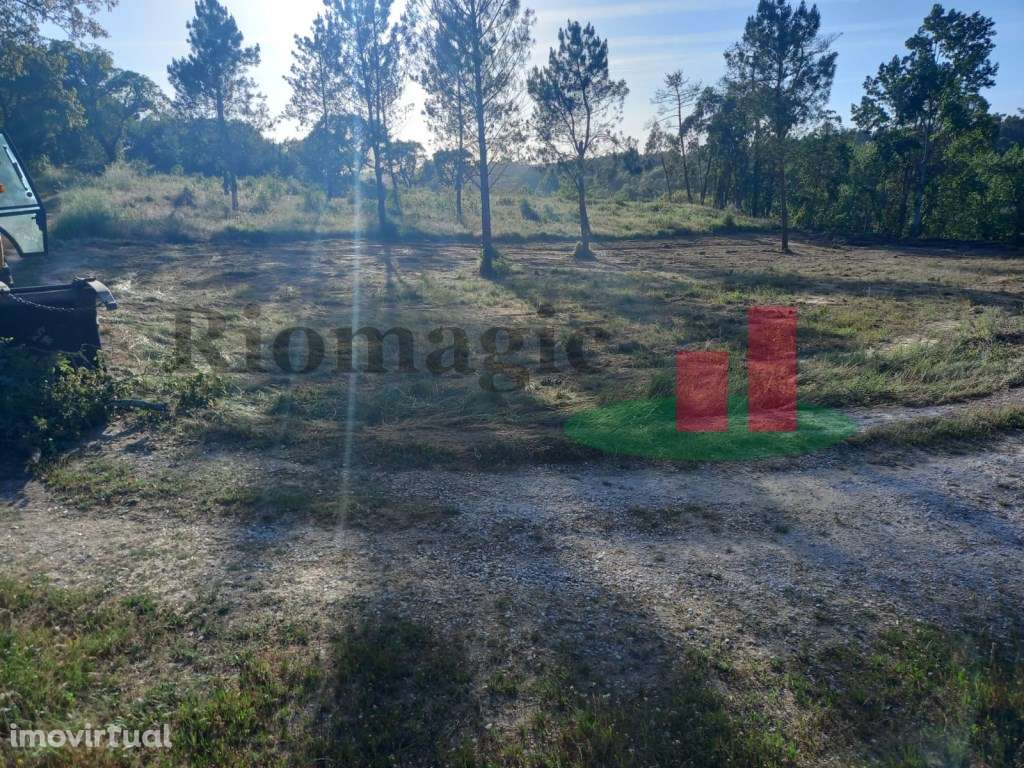 Terreno Rústico Assentiz***RIOMAGIC*** - Grande imagem: 5/5