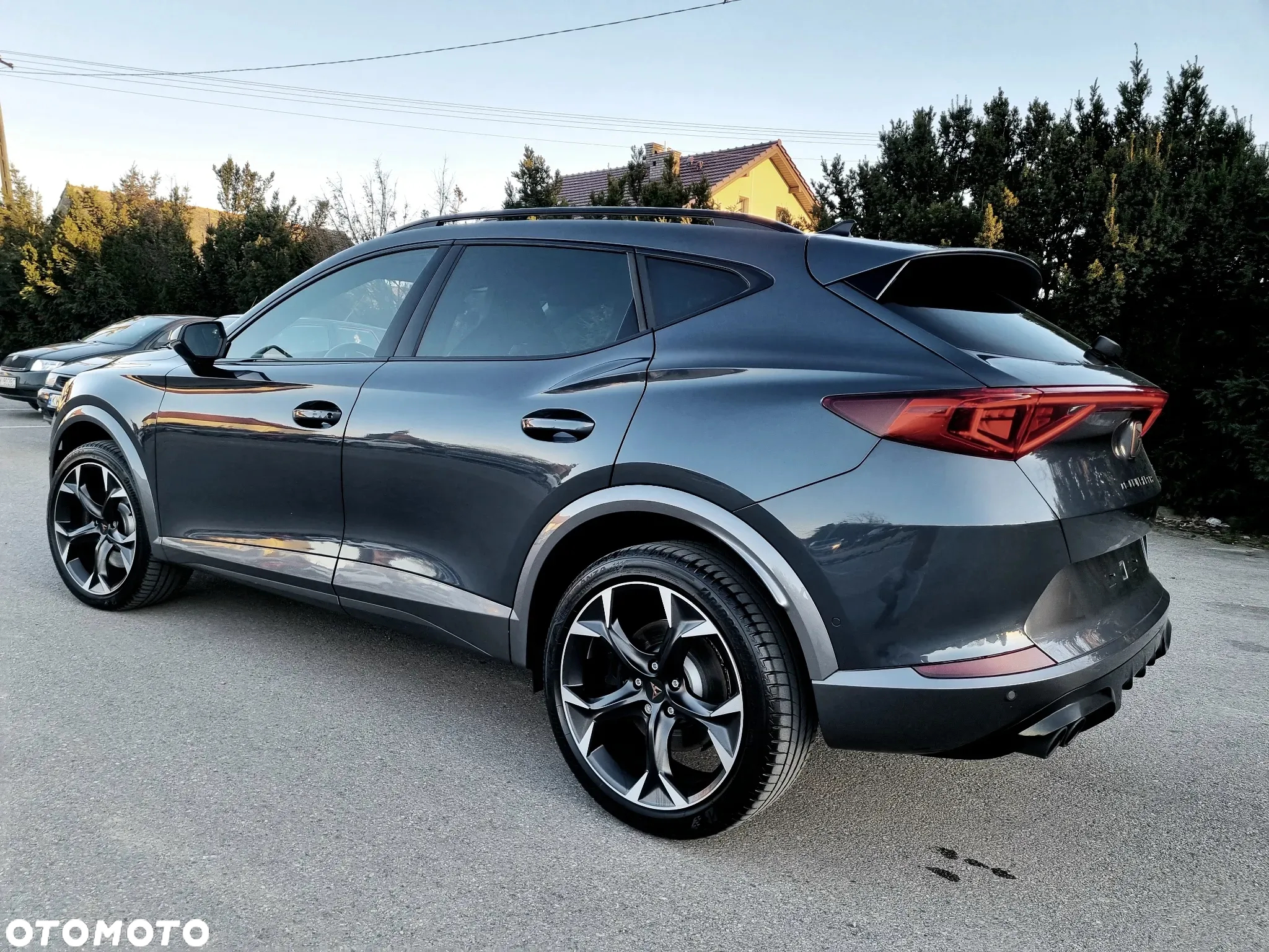 Cupra Formentor 2.0 TSI 4Drive VZ DSG - 8