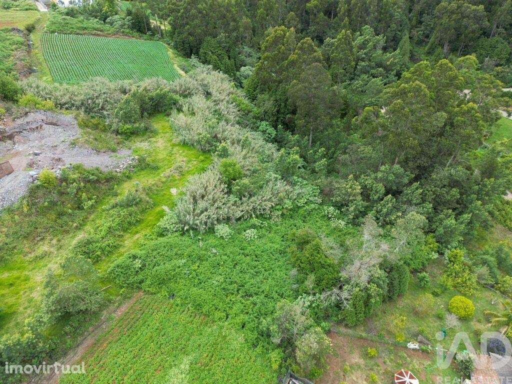 Terreno em São Jorge de 1310,00 m2 - Grande imagem: 2/6