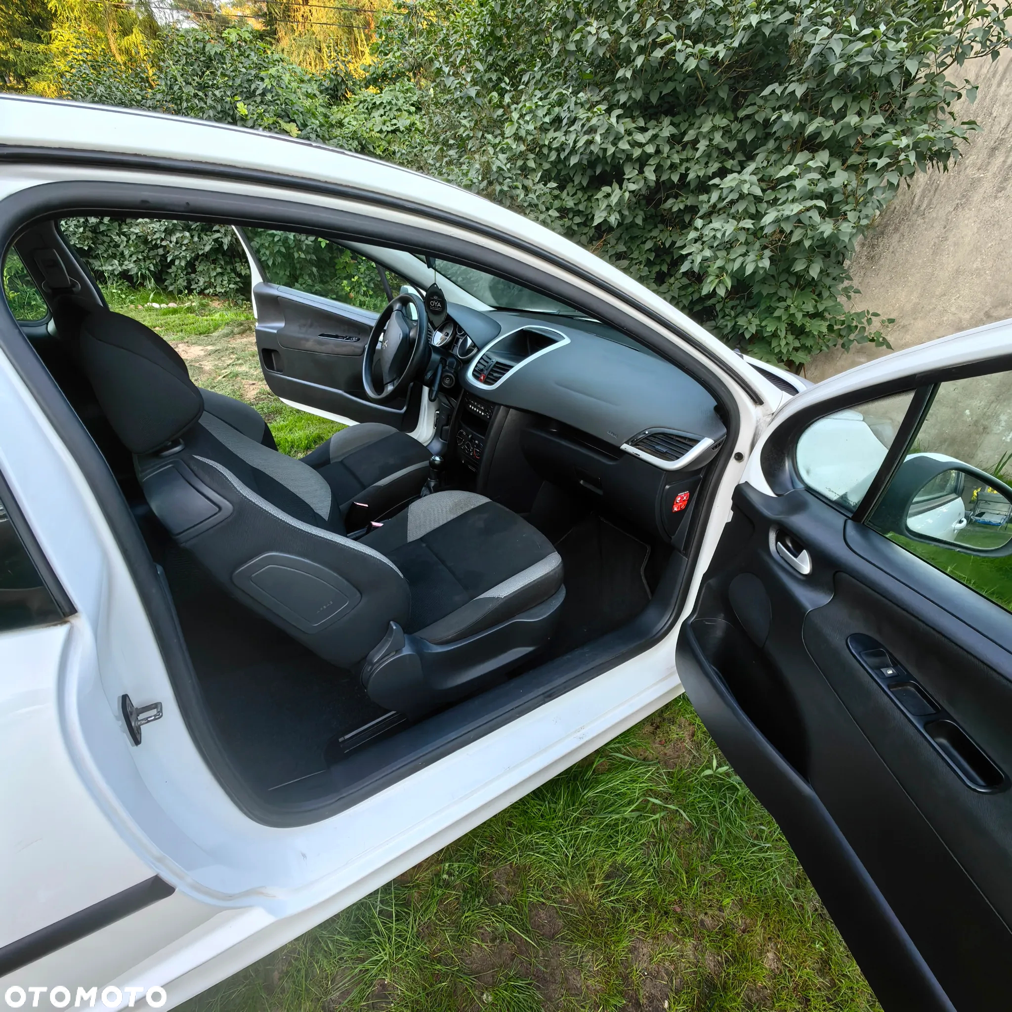 Peugeot 207 - 8