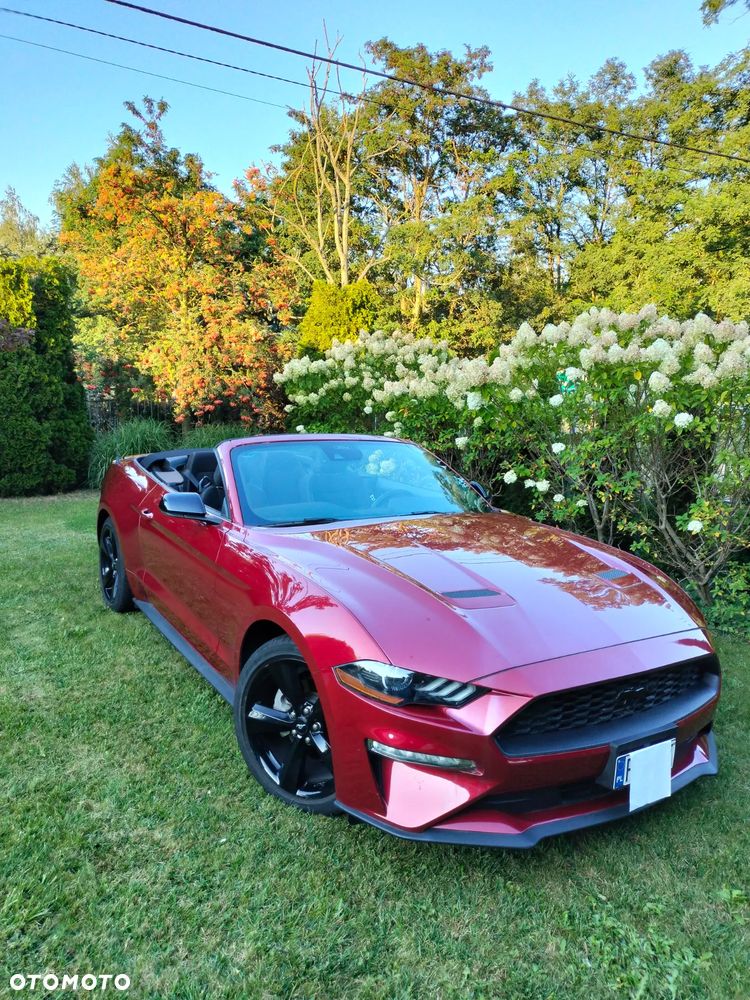 Ford Mustang 2.3 EcoBoost - 5