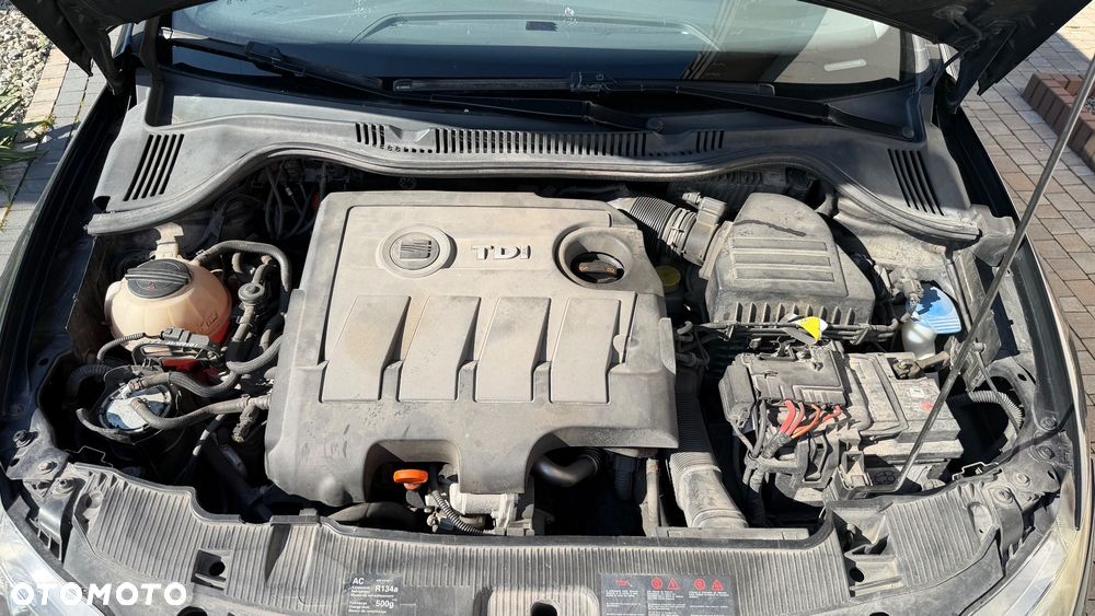 Seat Ibiza - 16
