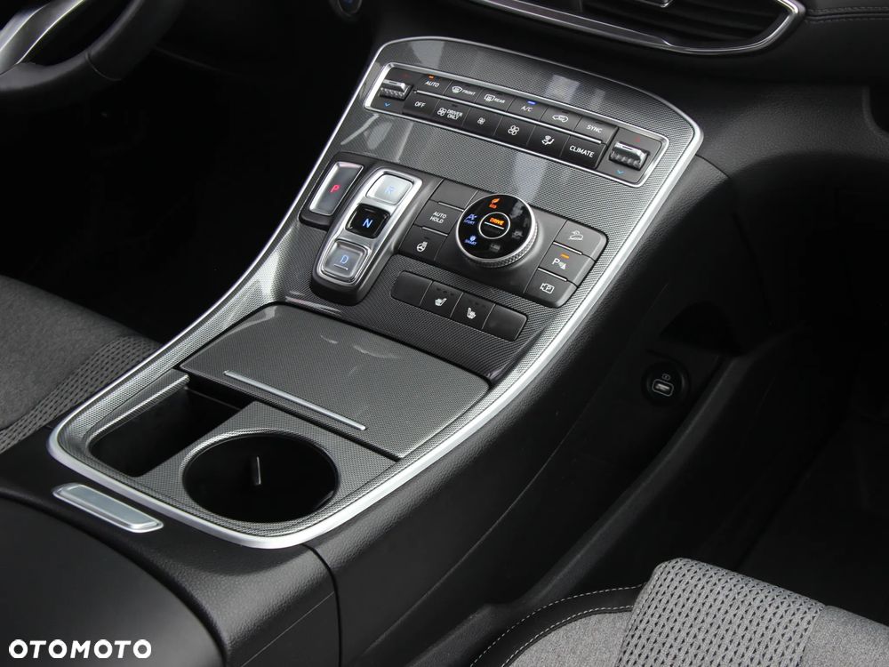 Hyundai Santa Fe - 19