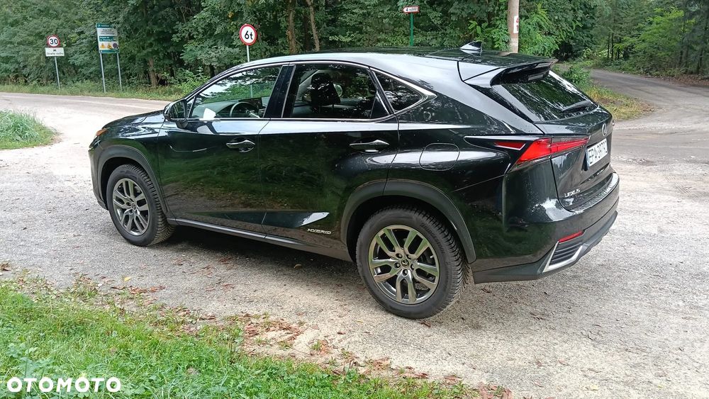 Lexus NX - 3