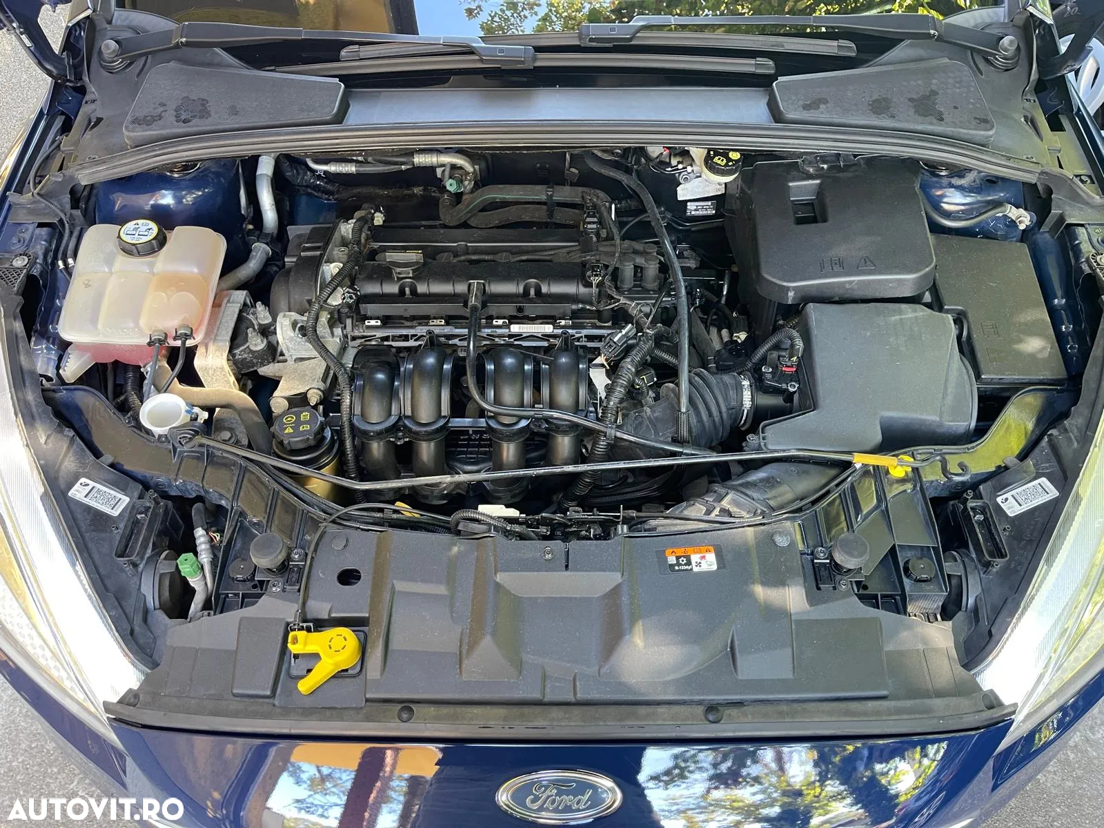Ford Focus 1.6 Ti-VCT Powershift Trend - 8