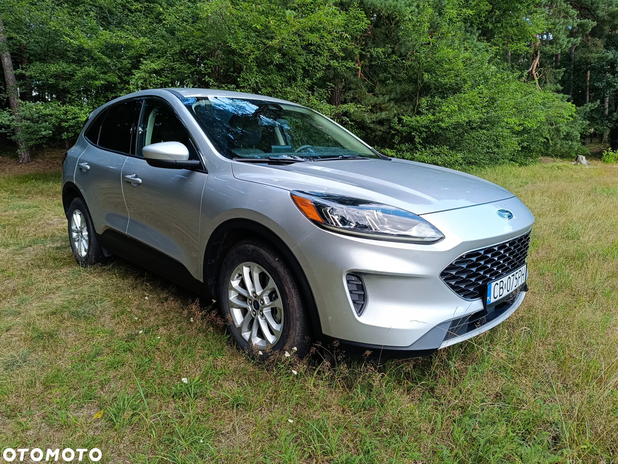 Ford Kuga - 5