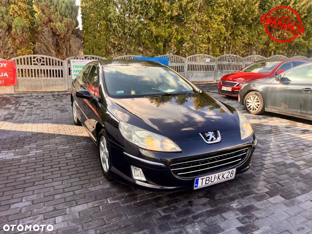 Peugeot 407 - 16