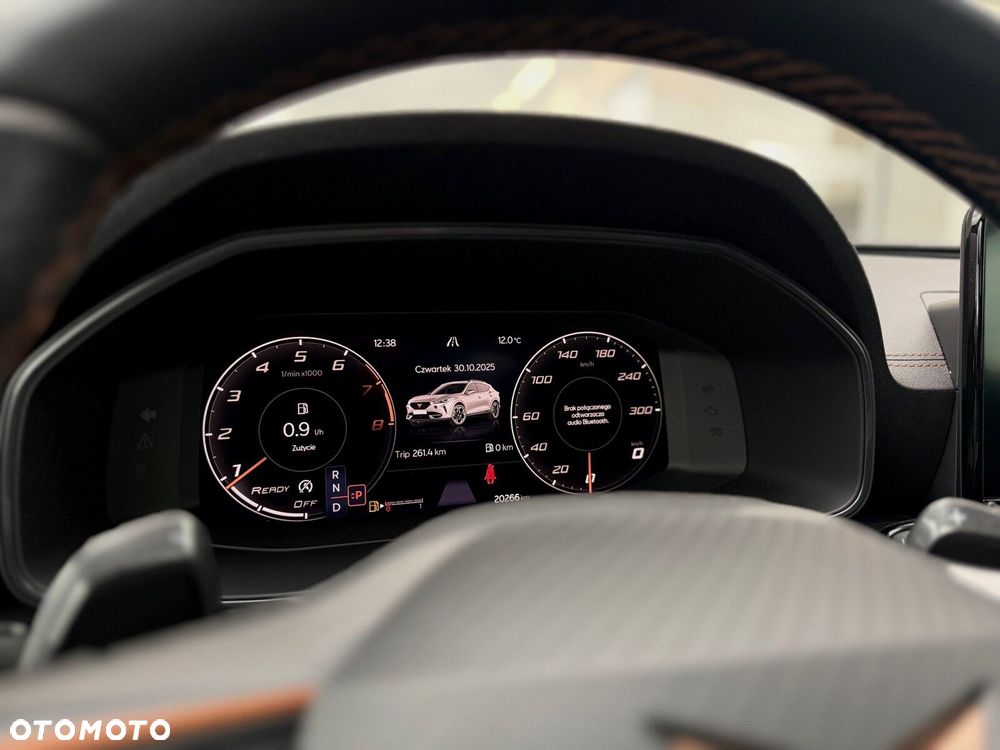 Cupra Formentor 2.0 TSI 4Drive DSG - 20