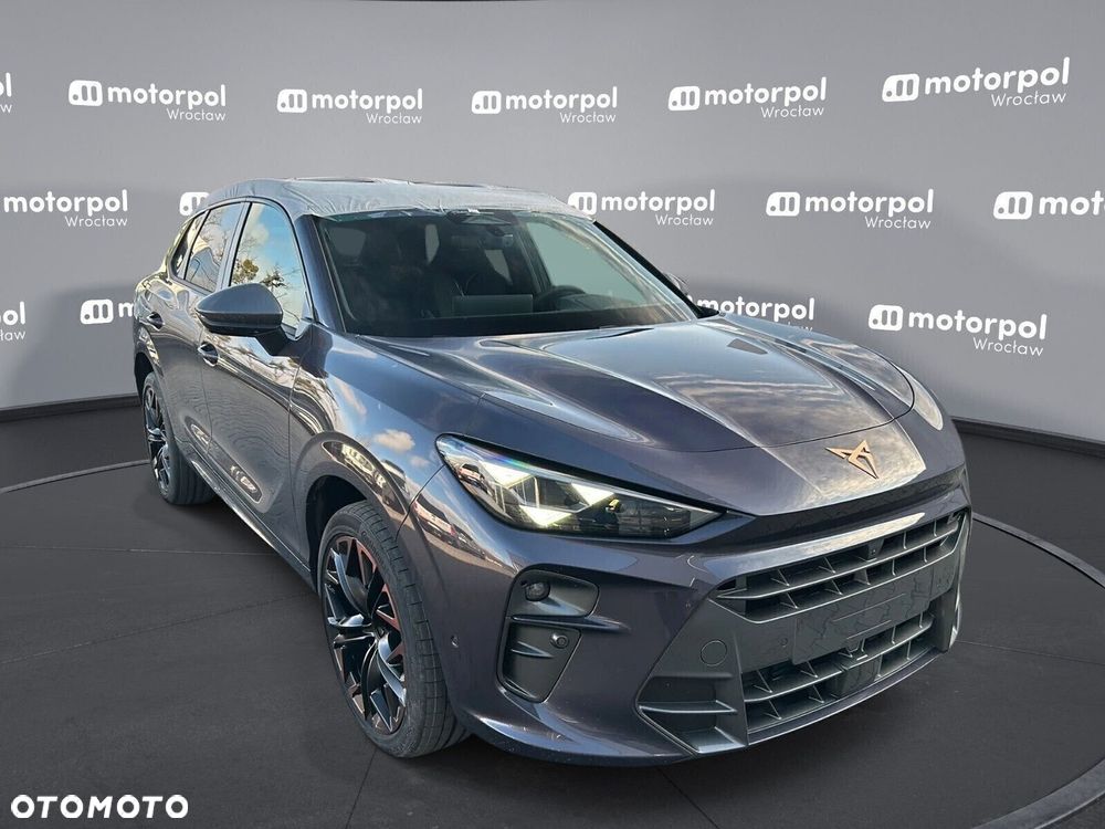 Cupra Terramar - 12