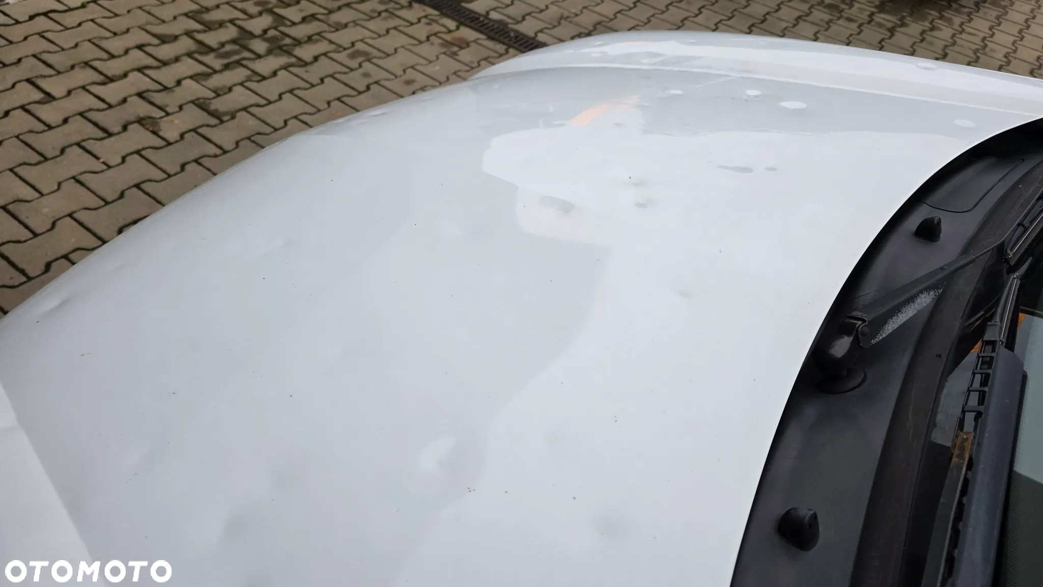 Renault Kangoo - 14