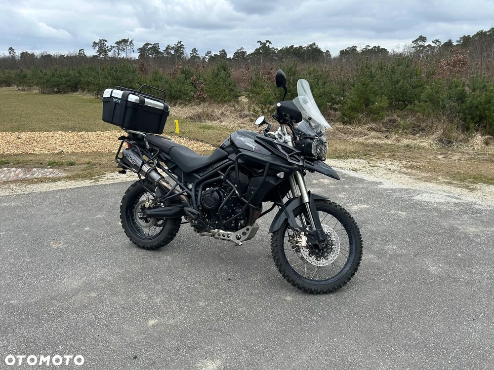 Triumph Tiger - 1