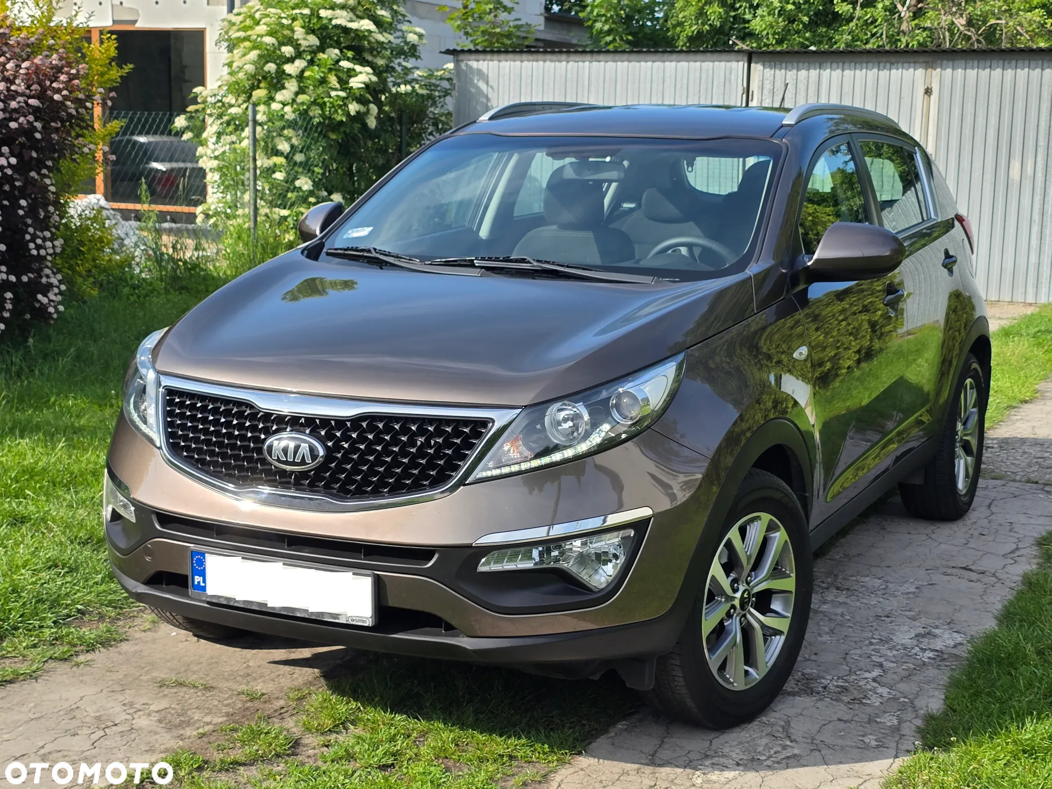 Kia Sportage 1.6 GDI L 2WD - 3