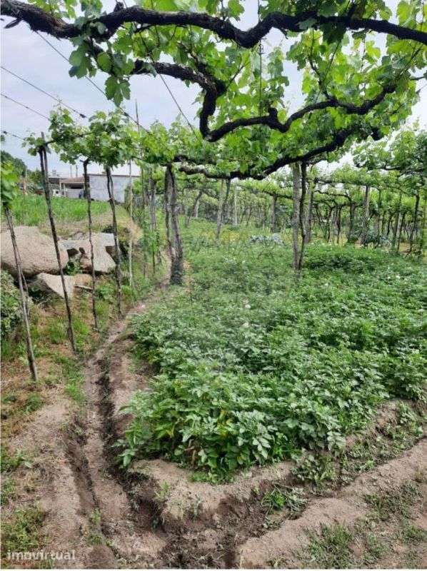 Terreno  para venda - Grande imagem: 2/6