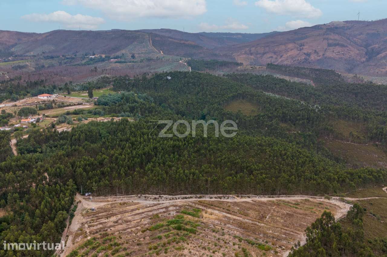 Terreno florestal urbanizável com 45.200 m2 - Melres, Gondomar - Grande imagem: 5/9
