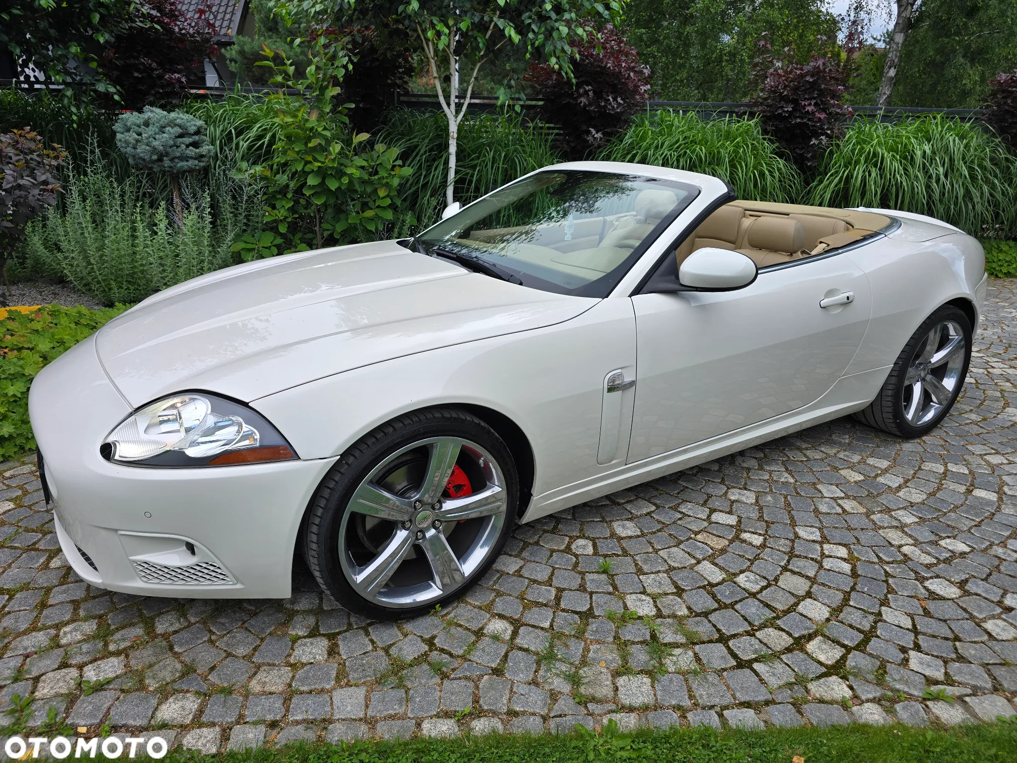 Jaguar XK 4.2 Cabriolet - 2