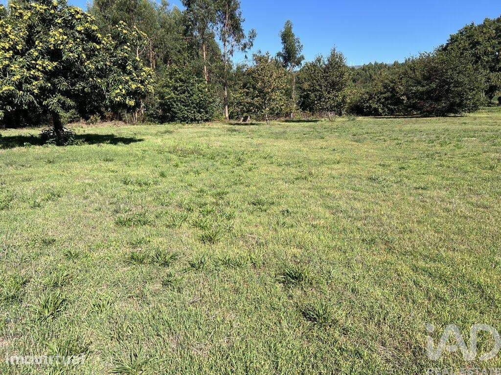Terreno para construção em Serrazes - Grande imagem: 3/15