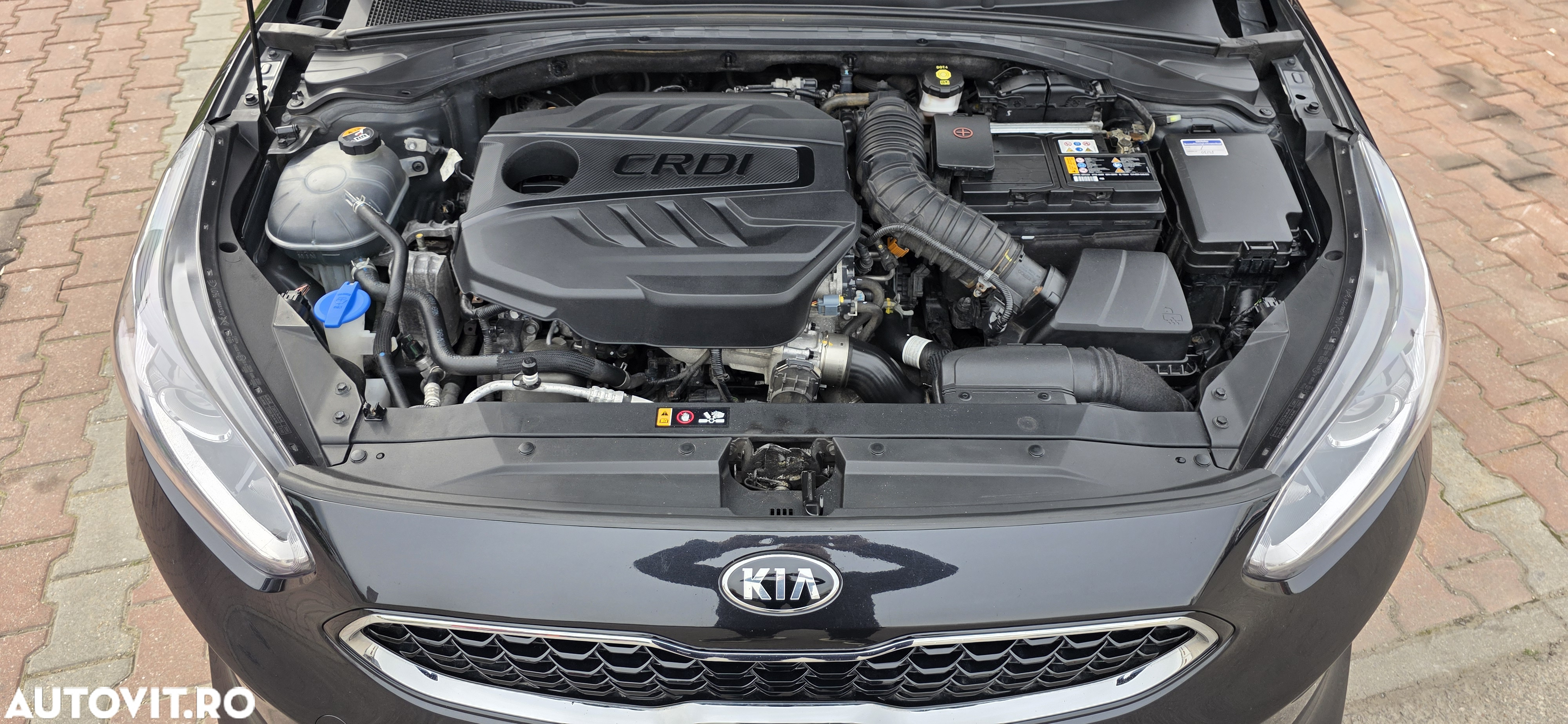 Kia Ceed 1.6 CRDi Eco-Dynamics+ (48V Mild-Hybrid) DCT7 Vision - 10