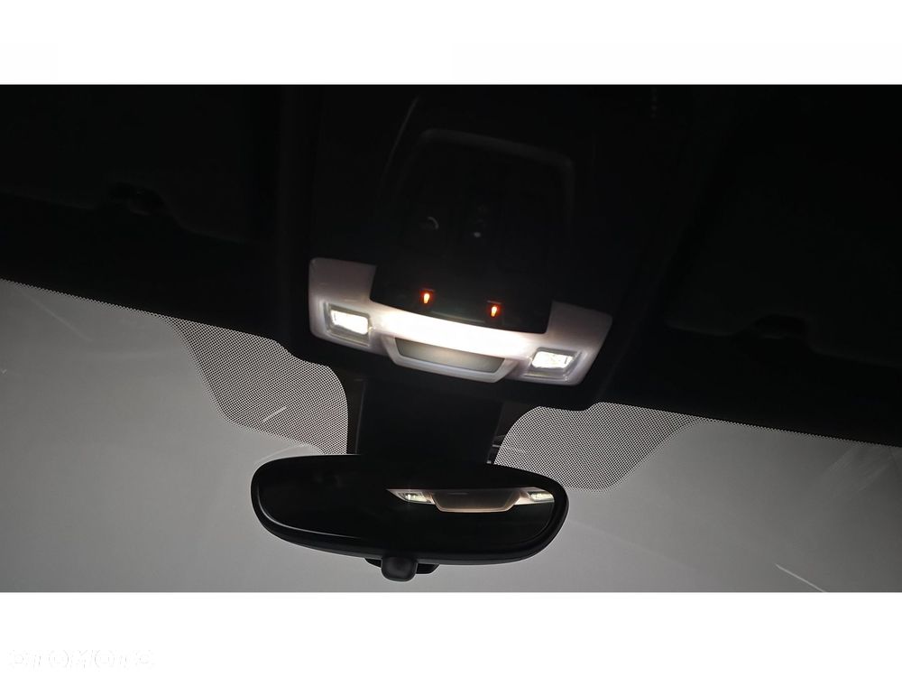 BMW X2 xDrive20d - 32