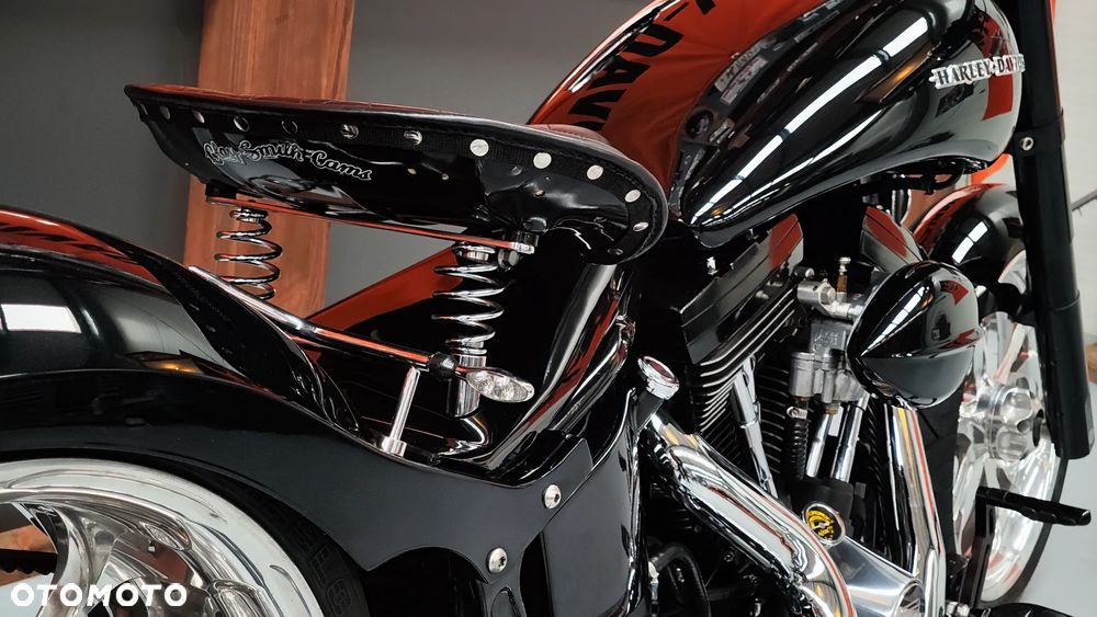 Harley-Davidson Softail - 18