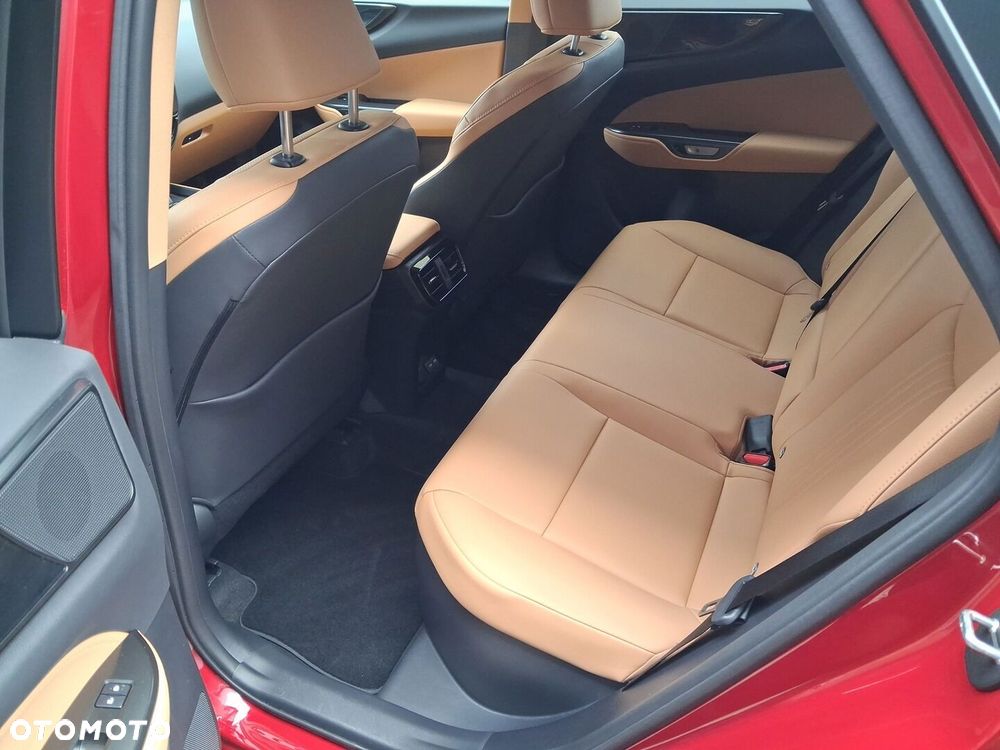 Lexus NX - 21