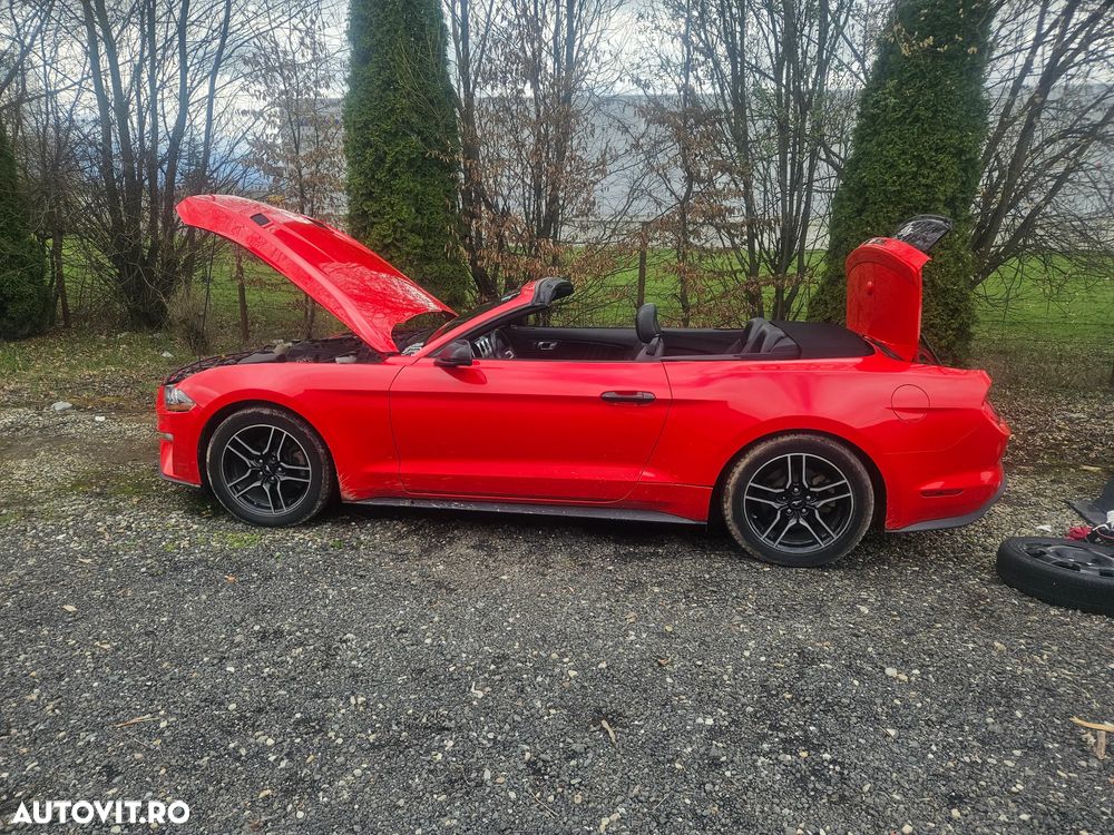 Ford Mustang Cabrio 2.3 Eco Boost - 5