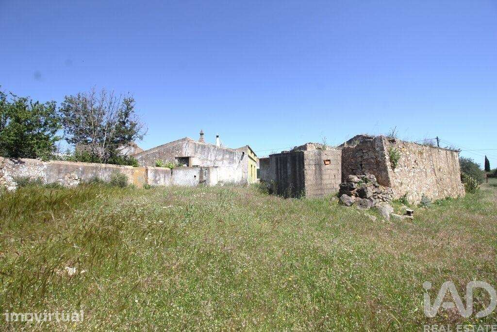 Terreno em Ferreiras de 240,00 m2 - Grande imagem: 2/29