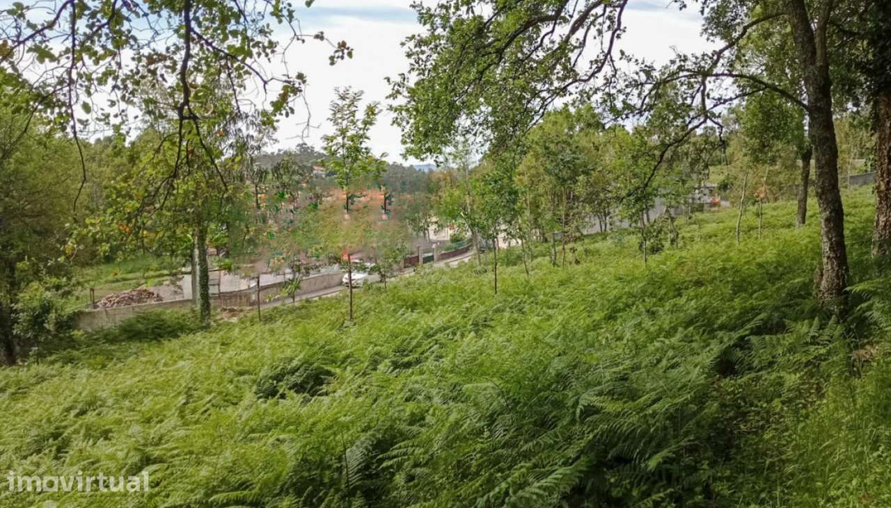 Venda de Terreno com 4455 m2, Fornelo, Vila do Conde - Grande imagem: 4/12