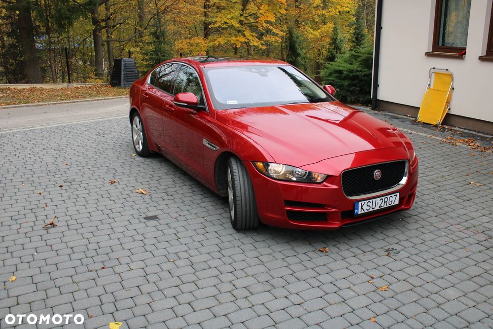 Jaguar Xe 2017 photo 3