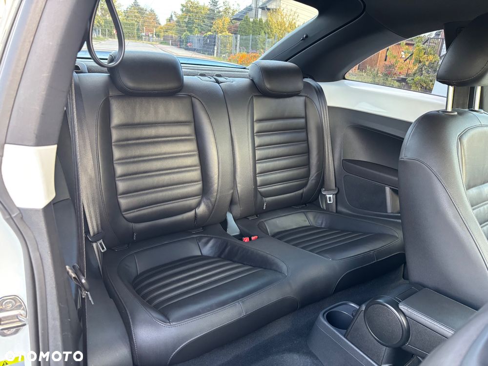 Volkswagen Beetle - 10