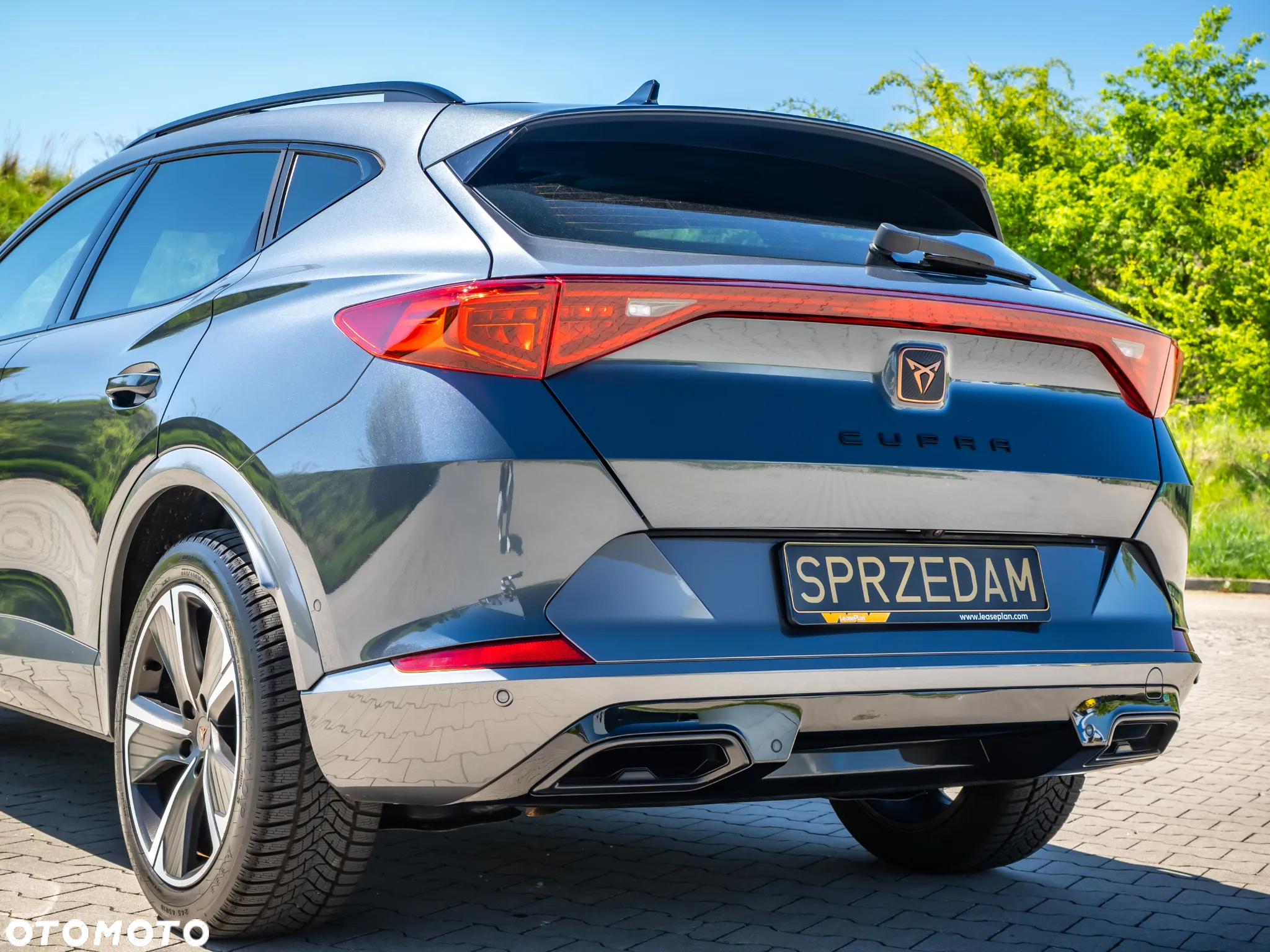 Cupra Formentor 1.5 TSI DSG - 15