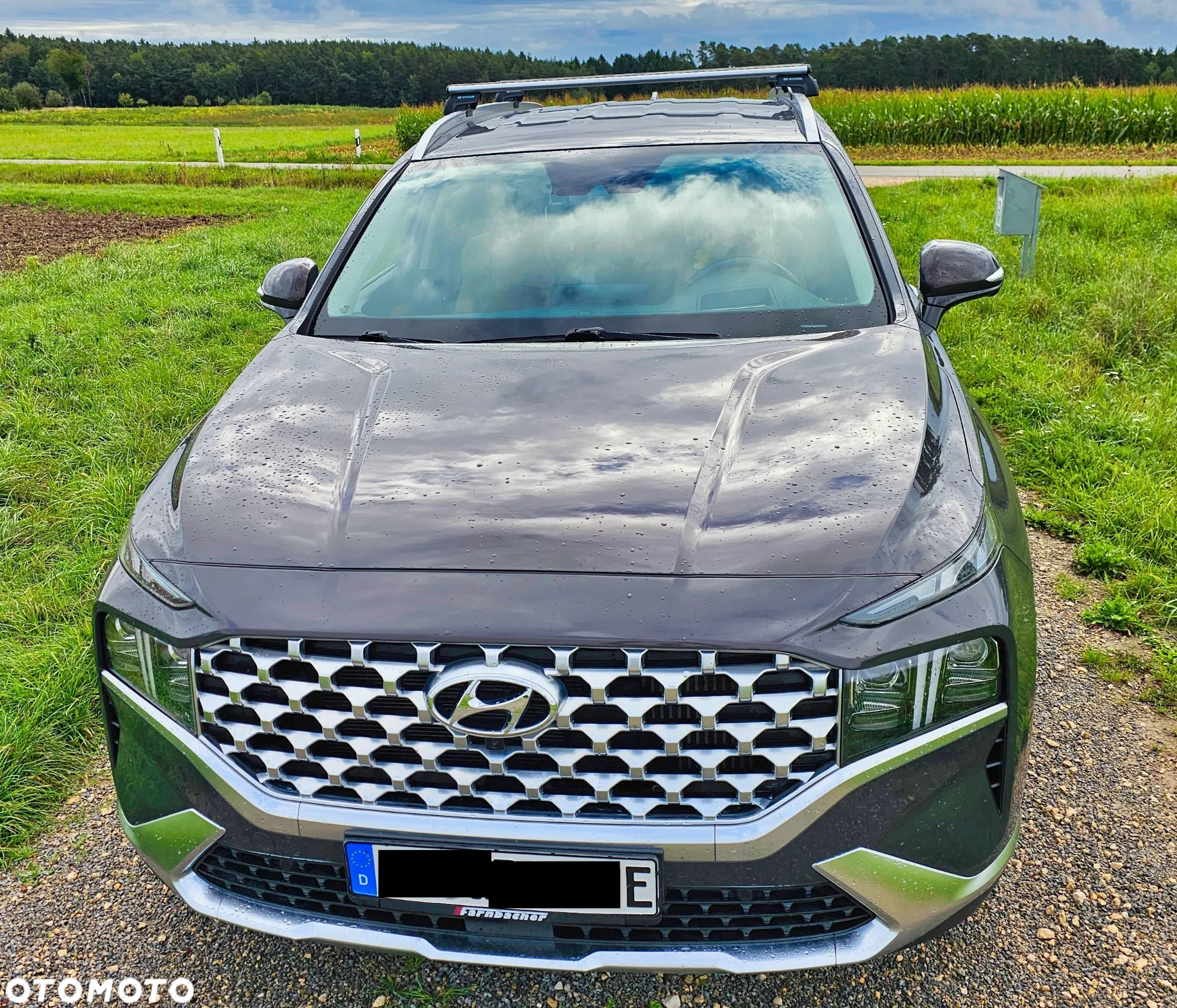 Hyundai Santa Fe 1.6 T-GDI PHEV Executive 4WD - 4